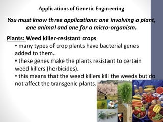 Applications of Genetic Engineering 
You must know three applications: one involving a plant, 
one animal and one for a micro-organism. 
Plants: Weed killer-resistant crops 
• many types of crop plants have bacterial genes 
added to them. 
• these genes make the plants resistant to certain 
weed killers (herbicides). 
• this means that the weed killers kill the weeds but do 
not affect the transgenic plants. 
 
