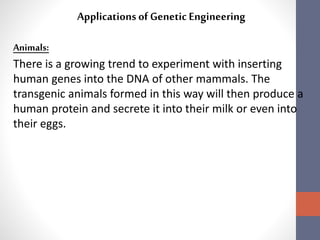 Applications of Genetic Engineering 
Animals: 
There is a growing trend to experiment with inserting 
human genes into the DNA of other mammals. The 
transgenic animals formed in this way will then produce a 
human protein and secrete it into their milk or even into 
their eggs. 
 