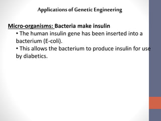 Applications of Genetic Engineering 
Micro-organisms: Bacteria make insulin 
• The human insulin gene has been inserted into a 
bacterium (E-coli). 
• This allows the bacterium to produce insulin for use 
by diabetics. 
 