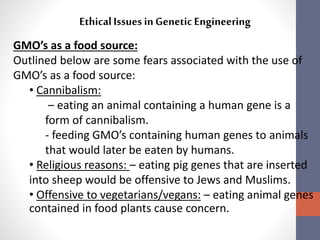 Ethical Issues in Genetic Engineering 
GMO’s as a food source: 
Outlined below are some fears associated with the use of 
GMO’s as a food source: 
• Cannibalism: 
– eating an animal containing a human gene is a 
form of cannibalism. 
- feeding GMO’s containing human genes to animals 
that would later be eaten by humans. 
• Religious reasons: – eating pig genes that are inserted 
into sheep would be offensive to Jews and Muslims. 
• Offensive to vegetarians/vegans: – eating animal genes 
contained in food plants cause concern. 
 