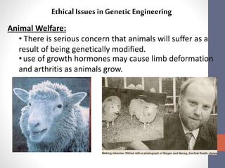 Ethical Issues in Genetic Engineering 
Animal Welfare: 
• There is serious concern that animals will suffer as a 
result of being genetically modified. 
• use of growth hormones may cause limb deformation 
and arthritis as animals grow. 
 