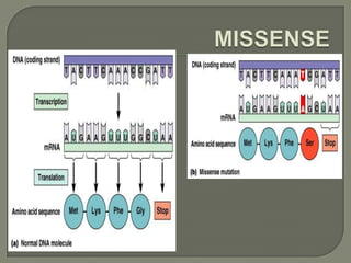 Microbial genetics mutation | PPTX