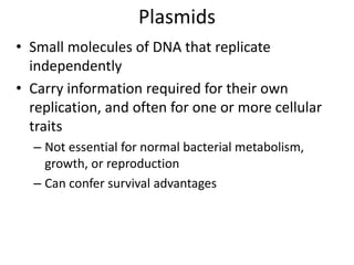 Plasmids
• Small molecules of DNA that replicate
independently
• Carry information required for their own
replication, and often for one or more cellular
traits
– Not essential for normal bacterial metabolism,
growth, or reproduction
– Can confer survival advantages
 
