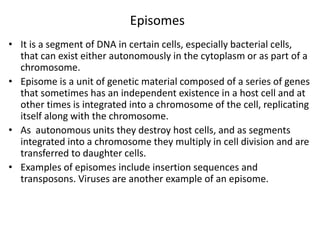 Episomes
• It is a segment of DNA in certain cells, especially bacterial cells,
that can exist either autonomously in the cytoplasm or as part of a
chromosome.
• Episome is a unit of genetic material composed of a series of genes
that sometimes has an independent existence in a host cell and at
other times is integrated into a chromosome of the cell, replicating
itself along with the chromosome.
• As autonomous units they destroy host cells, and as segments
integrated into a chromosome they multiply in cell division and are
transferred to daughter cells.
• Examples of episomes include insertion sequences and
transposons. Viruses are another example of an episome.
 