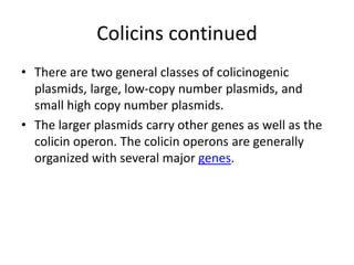 Colicins continued
• There are two general classes of colicinogenic
plasmids, large, low-copy number plasmids, and
small high copy number plasmids.
• The larger plasmids carry other genes as well as the
colicin operon. The colicin operons are generally
organized with several major genes.
 