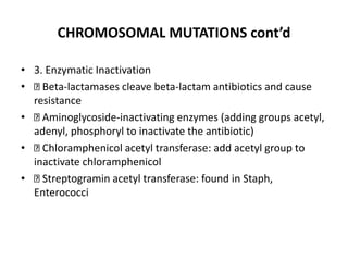 CHROMOSOMAL MUTATIONS cont’d
• 3. Enzymatic Inactivation
• Beta-lactamases cleave beta-lactam antibiotics and cause
resistance
• Aminoglycoside-inactivating enzymes (adding groups acetyl,
adenyl, phosphoryl to inactivate the antibiotic)
• Chloramphenicol acetyl transferase: add acetyl group to
inactivate chloramphenicol
• Streptogramin acetyl transferase: found in Staph,
Enterococci
 