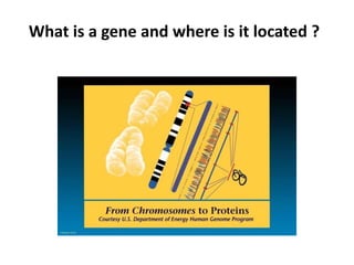 What is a gene and where is it located ?
 