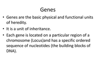 Genes
• Genes are the basic physical and functional units
of heredity.
• It is a unit of inheritance.
• Each gene is located on a particular region of a
chromosome (Locus)and has a specific ordered
sequence of nucleotides (the building blocks of
DNA).
 