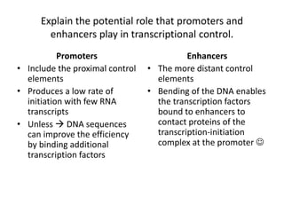 Explain the potential role that promoters and
enhancers play in transcriptional control.
Promoters
• Include the proximal control
elements
• Produces a low rate of
initiation with few RNA
transcripts
• Unless  DNA sequences
can improve the efficiency
by binding additional
transcription factors
Enhancers
• The more distant control
elements
• Bending of the DNA enables
the transcription factors
bound to enhancers to
contact proteins of the
transcription-initiation
complex at the promoter 
 
