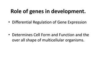 Role of genes in development.
• Differential Regulation of Gene Expression
• Determines Cell Form and Function and the
over all shape of multicellular organisms.
 