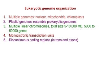Eukaryotic genome organization
1. Multiple genomes: nuclear, mitochondria, chloroplasts
2. Plastid genomes resemble prokaryotic genomes
3. Multiple linear chromosomes, total size 5-10,000 MB, 5000 to
50000 genes
4. Monocistronic transcription units
5. Discontinuous coding regions (introns and exons)
 