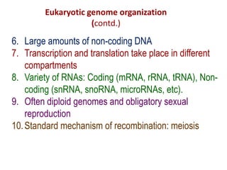 Eukaryotic genome organization
(contd.)
6. Large amounts of non-coding DNA
7. Transcription and translation take place in different
compartments
8. Variety of RNAs: Coding (mRNA, rRNA, tRNA), Non-
coding (snRNA, snoRNA, microRNAs, etc).
9. Often diploid genomes and obligatory sexual
reproduction
10.Standard mechanism of recombination: meiosis
 