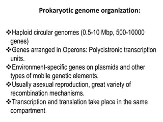 Prokaryotic genome organization:
Haploid circular genomes (0.5-10 Mbp, 500-10000
genes)
Genes arranged in Operons: Polycistronic transcription
units.
Environment-specific genes on plasmids and other
types of mobile genetic elements.
Usually asexual reproduction, great variety of
recombination mechanisms.
Transcription and translation take place in the same
compartment
 