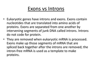 Exons vs Introns
• Eukaryotic genes have introns and exons. Exons contain
nucleotides that are translated into amino acids of
proteins. Exons are separated from one another by
intervening segments of junk DNA called introns. Introns
do not code for protein.
• They are removed when eukaryotic mRNA is processed.
Exons make up those segments of mRNA that are
spliced back together after the introns are removed; the
intron-free mRNA is used as a template to make
proteins.
 