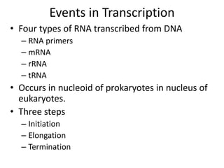 Events in Transcription
• Four types of RNA transcribed from DNA
– RNA primers
– mRNA
– rRNA
– tRNA
• Occurs in nucleoid of prokaryotes in nucleus of
eukaryotes.
• Three steps
– Initiation
– Elongation
– Termination
 