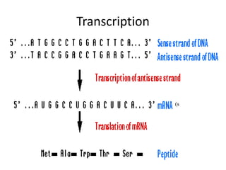 Transcription
(s
 