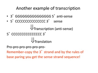 Another example of transcription
• 3’ GGGGGGGGGGGGGGG 5’ anti-sense
• 5’ CCCCCCCCCCCCCCC 3’ sense
Transcription (anti-sense)
5’ CCCCCCCCCCCCCCC 3’
Translation
Pro-pro-pro-pro-pro-pro-
Remember-copy the 3’ strand and by the rules of
base paring you get the sense strand sequence!
 