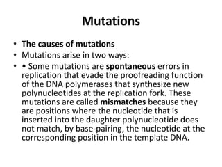 Mutations
• The causes of mutations
• Mutations arise in two ways:
• • Some mutations are spontaneous errors in
replication that evade the proofreading function
of the DNA polymerases that synthesize new
polynucleotides at the replication fork. These
mutations are called mismatches because they
are positions where the nucleotide that is
inserted into the daughter polynucleotide does
not match, by base-pairing, the nucleotide at the
corresponding position in the template DNA.
 