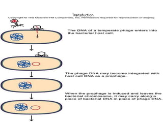 Transduction
 