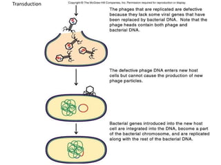 Transduction
 