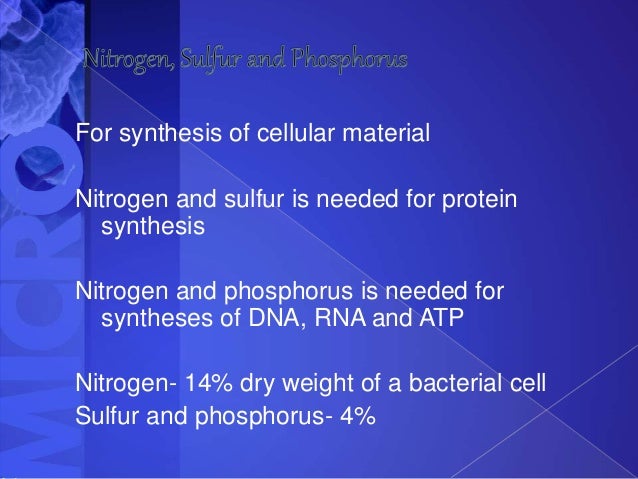 are lipids carbohydrates present what elements proteins chemical in the and growth Microbial are lipids carbohydrates present what elements proteins chemical in the and growth Microbial