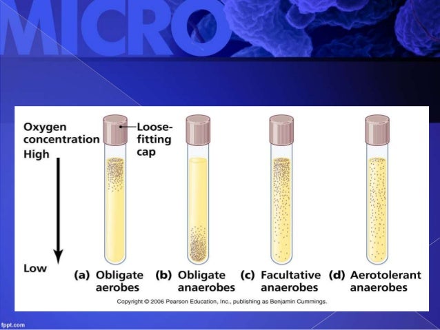 Microbial Growth