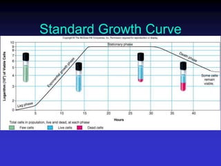 Standard Growth Curve
 