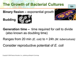 Microbial Growth.ppt