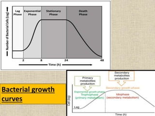 Microbial growth curve | PPT