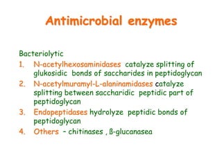 Antimicrobial enzymes
Bacteriolytic
1. N-acetylhexosaminidases catalyze splitting of
glukosidic bonds of saccharides in peptidoglycan
2. N-acetylmuramyl-L-alaninamidases catalyze
splitting between saccharidic peptidic part of
peptidoglycan
3. Endopeptidases hydrolyze peptidic bonds of
peptidoglycan
4. Others – chitinases , ß-glucanasea
 