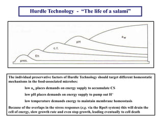 Hurdle Technology - “The life of a salami”
The individual preservative factors of Hurdle Technology should target different homeostatic
mechanisms in the food-associated microbes:
low aw places demands on energy supply to accumulate CS
low pH places demands on energy supply to pump out H+
low temperature demands energy to maintain membrane homeostasis
Because of the overlaps in the stress responses (e.g. via the RpoS system) this will drain the
cell of energy, slow growth rate and even stop growth, leading eventually to cell death
 