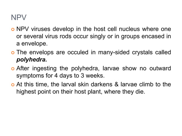 Microbial insecticides | PPTX
