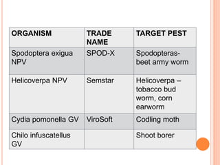 ORGANISM TRADE
NAME
TARGET PEST
Spodoptera exigua
NPV
SPOD-X Spodopteras-
beet army worm
Helicoverpa NPV Semstar Helicoverpa –
tobacco bud
worm, corn
earworm
Cydia pomonella GV ViroSoft Codling moth
Chilo infuscatellus
GV
Shoot borer
 