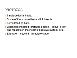 Protozoan Insecticide Microbial insecticides | PPTX