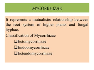 MYCORRHIZAE
It represents a mutualistic relationship between
the root system of higher plants and fungal
hyphae.
Classification of Mycorrhizae
Ectomycorrhizae
Endoomycorrhizae
Ectendomycorrhizae
 