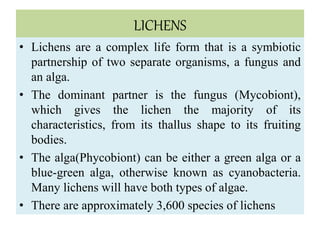 LICHENS
• Lichens are a complex life form that is a symbiotic
partnership of two separate organisms, a fungus and
an alga.
• The dominant partner is the fungus (Mycobiont),
which gives the lichen the majority of its
characteristics, from its thallus shape to its fruiting
bodies.
• The alga(Phycobiont) can be either a green alga or a
blue-green alga, otherwise known as cyanobacteria.
Many lichens will have both types of algae.
• There are approximately 3,600 species of lichens
 