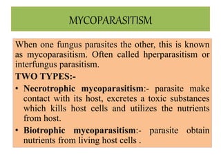 MYCOPARASITISM
When one fungus parasites the other, this is known
as mycoparasitism. Often called hperparasitism or
interfungus parasitism.
TWO TYPES:-
• Necrotrophic mycoparasitism:- parasite make
contact with its host, excretes a toxic substances
which kills host cells and utilizes the nutrients
from host.
• Biotrophic mycoparasitism:- parasite obtain
nutrients from living host cells .
 