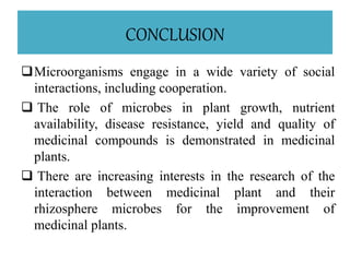 CONCLUSION
Microorganisms engage in a wide variety of social
interactions, including cooperation.
 The role of microbes in plant growth, nutrient
availability, disease resistance, yield and quality of
medicinal compounds is demonstrated in medicinal
plants.
 There are increasing interests in the research of the
interaction between medicinal plant and their
rhizosphere microbes for the improvement of
medicinal plants.
 