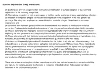 Microbial interaction and its relationship | PDF