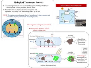Microbial interaction and its relationship | PDF