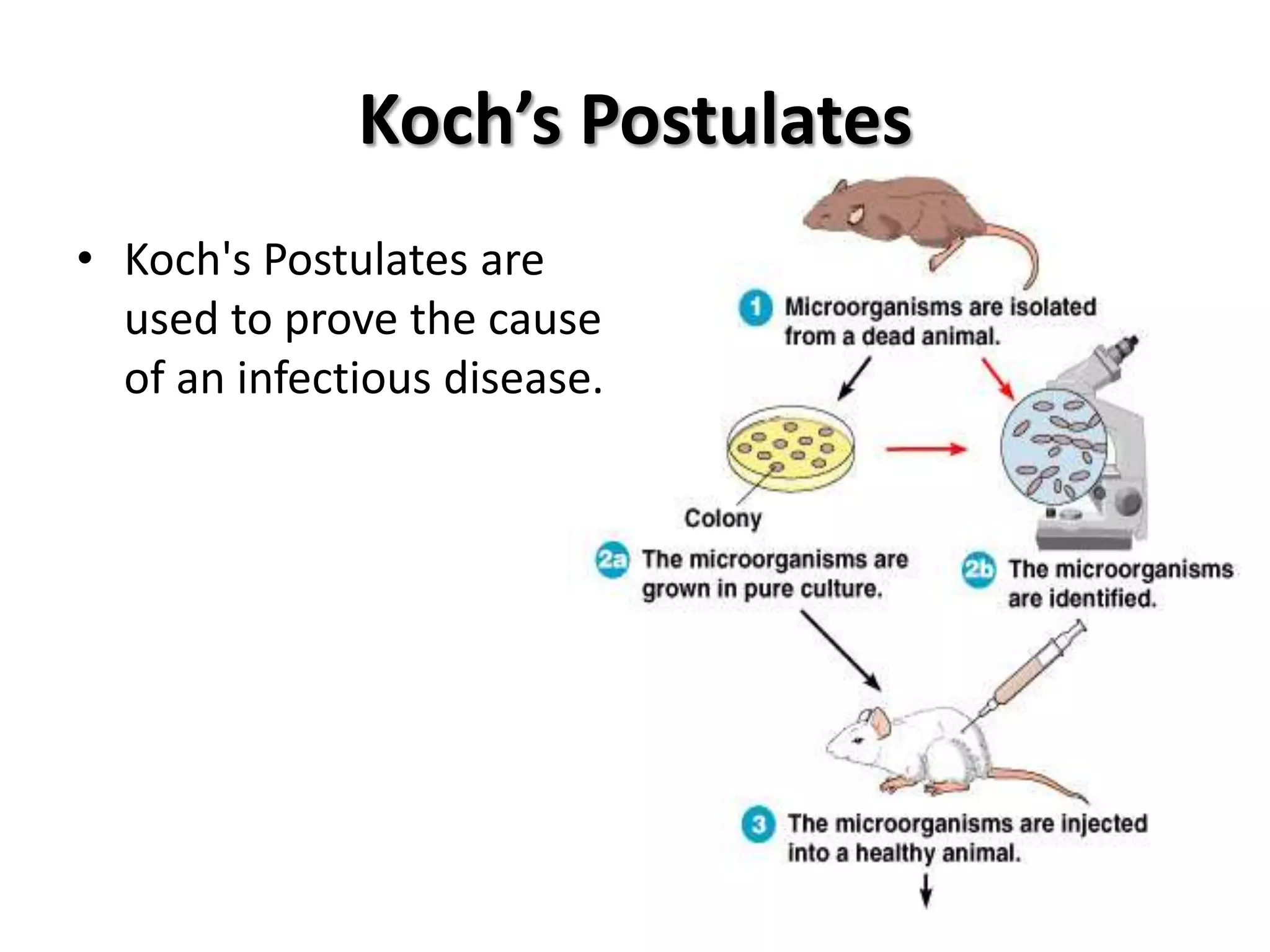 Koch’s Postulates
• Koch's Postulates are
  used to prove the cause
  of an infectious disease.
 