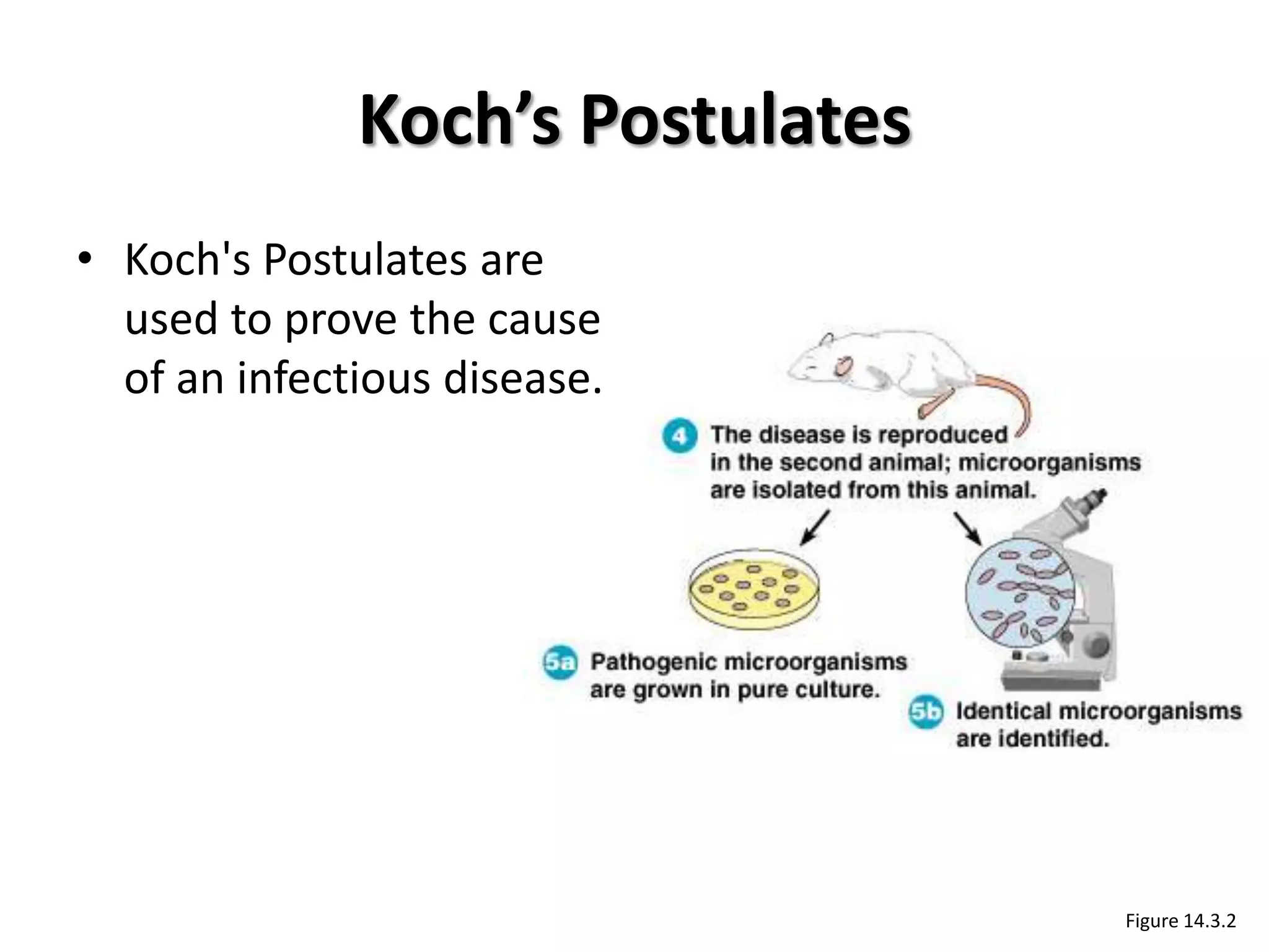 Koch’s Postulates
• Koch's Postulates are
  used to prove the cause
  of an infectious disease.




                                  Figure 14.3.2
 