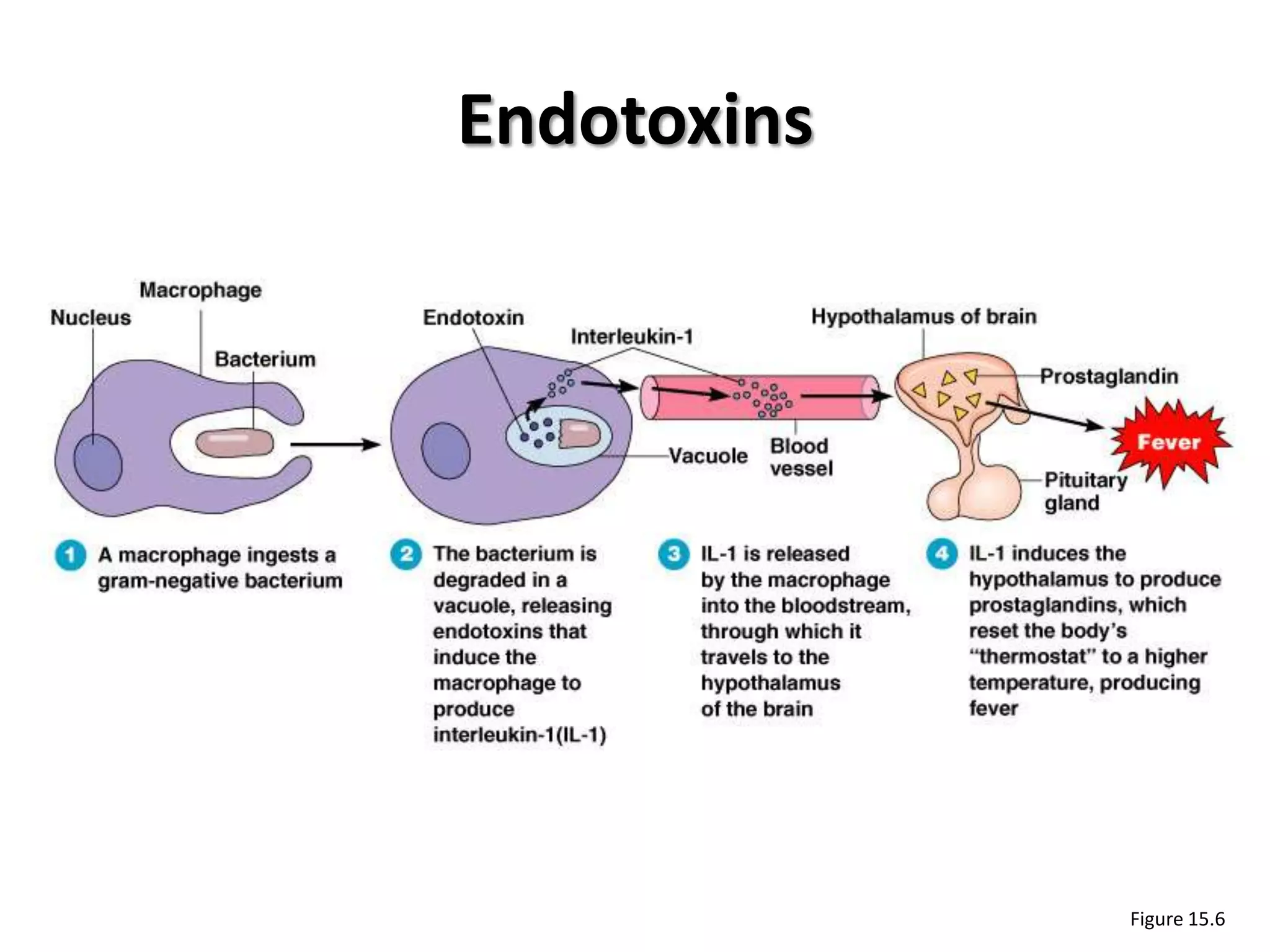 Endotoxins




             Figure 15.6
 