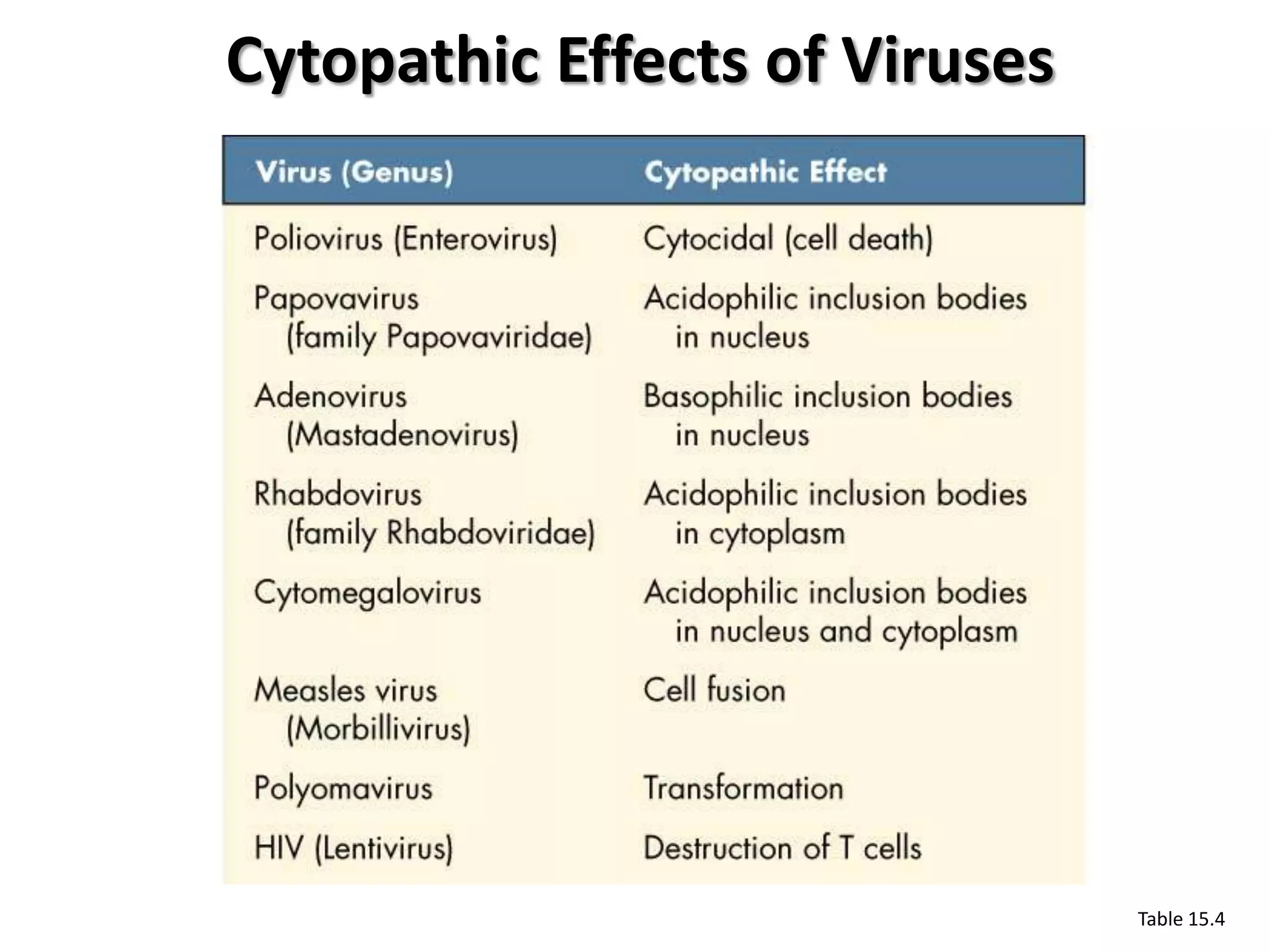 Cytopathic Effects of Viruses




                                Table 15.4
 