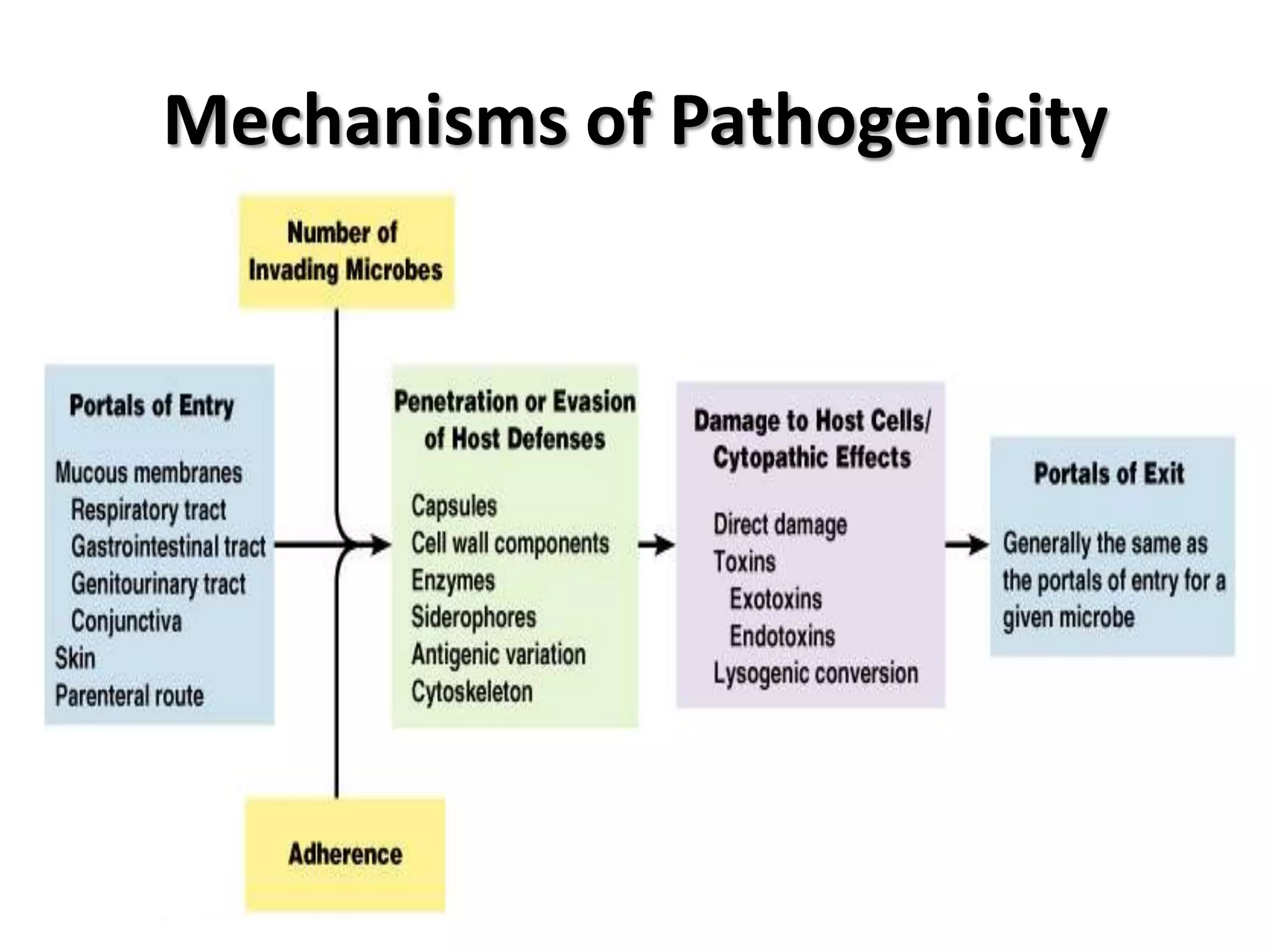 Mechanisms of Pathogenicity
 