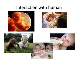Interaction with human
 