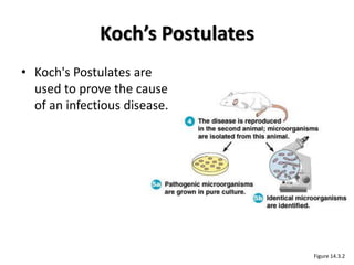 Koch’s Postulates
• Koch's Postulates are
  used to prove the cause
  of an infectious disease.




                                  Figure 14.3.2
 