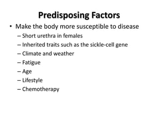 Predisposing Factors
• Make the body more susceptible to disease
  – Short urethra in females
  – Inherited traits such as the sickle-cell gene
  – Climate and weather
  – Fatigue
  – Age
  – Lifestyle
  – Chemotherapy
 