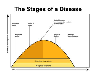 The Stages of a Disease
 