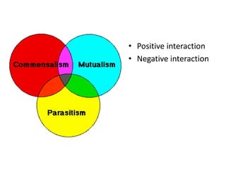 • Positive interaction
• Negative interaction
 